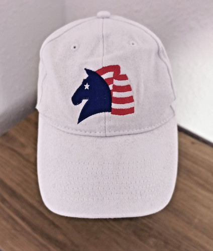 Garden state horse show hat - show,